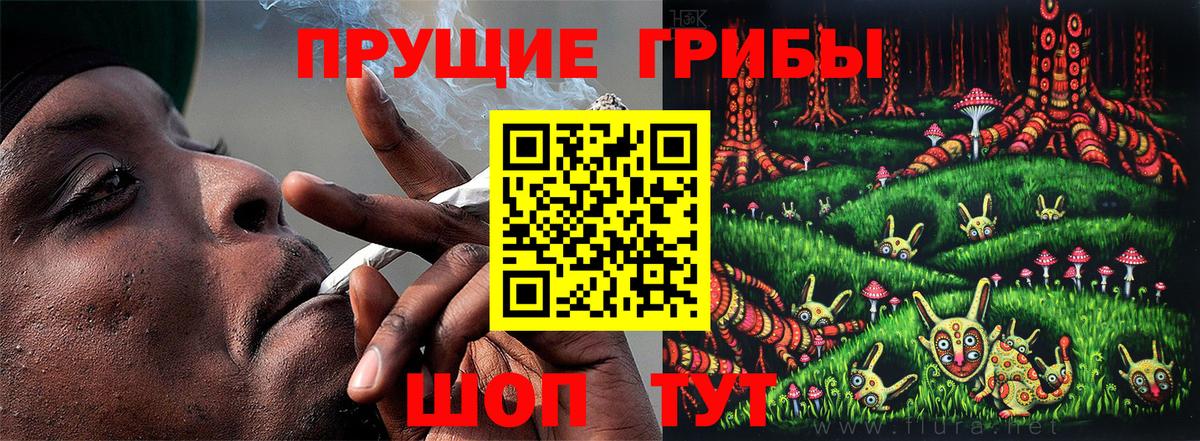 Псилоцибиновые грибы MAGIC MUSHROOMS Унеча