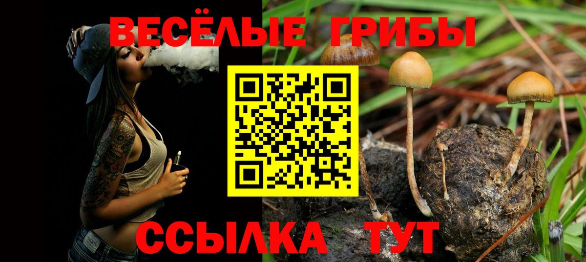 Галлюциногенные грибы GOLDEN TEACHER  Вход с VPN  Псилоцибиновые грибы ЛСД  Унеча 
