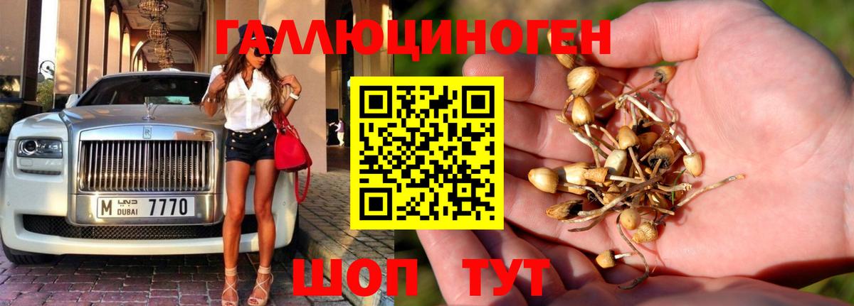 Унеча  Марихуана  Cocaine  Метамфетамин  ЭКСТАЗИ  НБОМе  Меф МЯУ МЯУ кристаллы  Вход с VPN  Гашиш 
